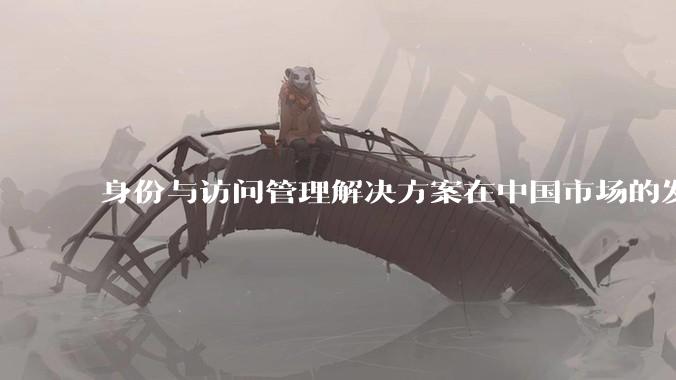 身份与访问管理解决方案在中国市场的发展前景？
