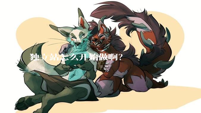 独立站怎么开始做啊？